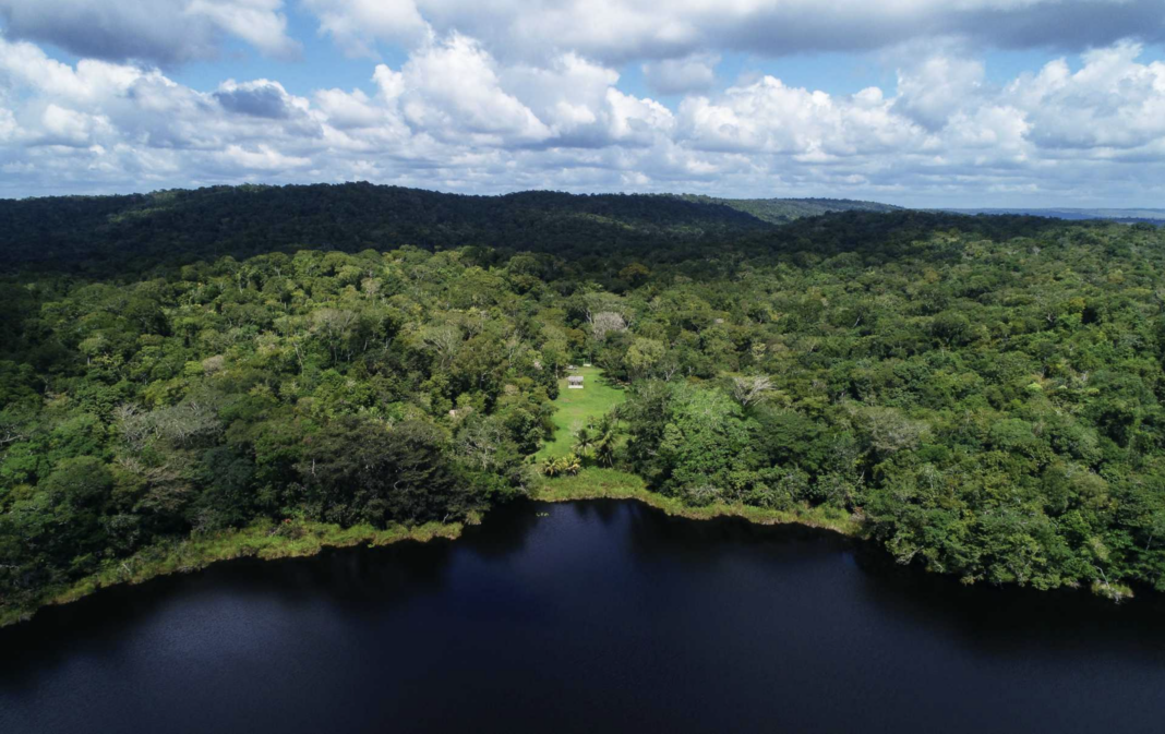 Comunidades de Petén: El modelo que salva la selva Comunidades de Petén: El modelo que salva la selva